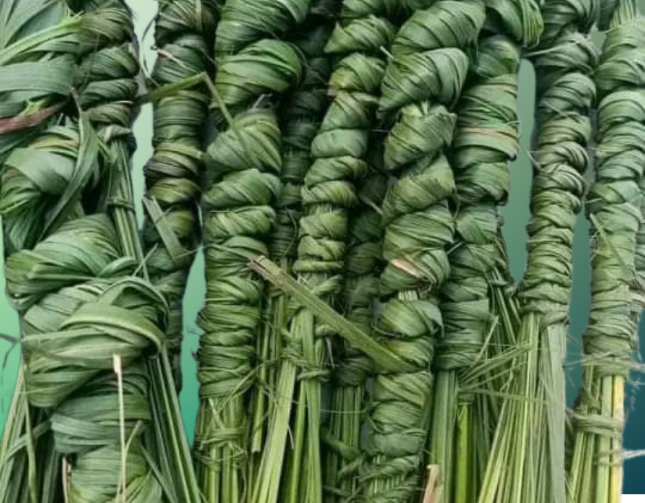 Dried Kush Grass natural sacred ritual grass from Nepal