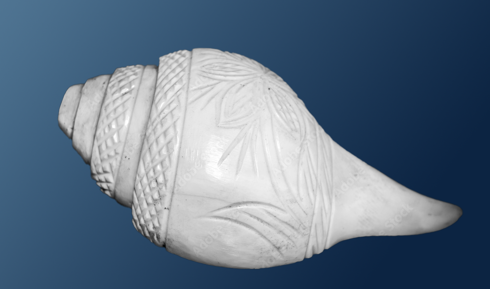 Sankha Medium Size sacred Nepali ritual conch shell